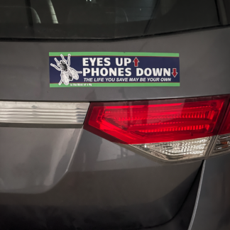 Bumper Sticker- Eyes Up.  Phone Down.
